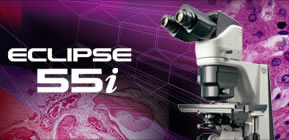Nikon Eclipse 55i Biological Microscope