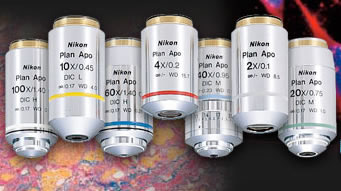 Nikon CFI Plan Apochromat Series Objective Lenses