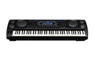 Casio WK-1600 Workstation Musical Keyboard