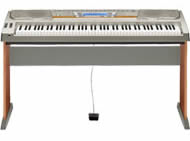 Casio WK-8000 Workstation Musical Keyboard