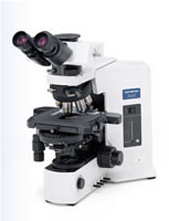 Olympus BX51 Clinical Microscope