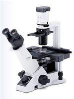 Olympus CKX31 & CKX41 Inverted Microscopes