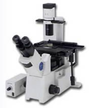 Olympus IX51 Inverted Microscope