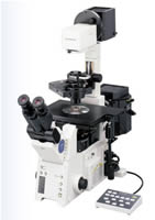 Olympus IX81 Motorized Inverted Microscope