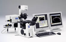 Olympus FluoView 1000 Confocal Microscope