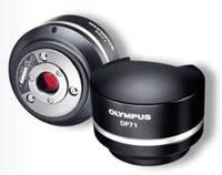 Olympus DP71 Digital Camera