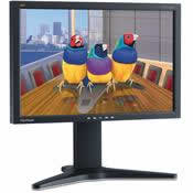 ViewSonic VP2250wb LCD Displays