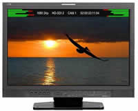 JVC DT-V24L1DU Broadcast Studio Monitor