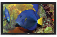 NEC PlasmaSync 50XR6 Large Screen LCD Monitor