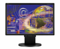 NEC MultiSync LCD2470WVX Flat Panel Monitor