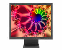 NEC MultiSync LCD2180WG-LED-BK-SV Flat Panel Monitor
