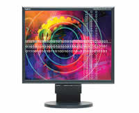 NEC MultiSync LCD2170NX-BK Flat Panel Monitor