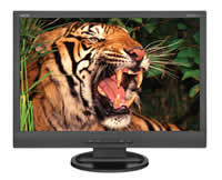 NEC LCD22WV Widescreen Desktop Display