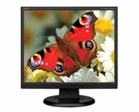 NEC AccuSync LCD73VX-BK Flat Panel Monitor