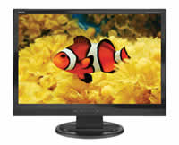 NEC AccuSync LCD24WMCX Flat Panel Monitor