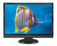 NEC AccuSync LCD22WMGX Flat Panel Monitor