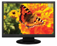 NEC AccuSync LCD224WMX-BK Widescreen Flat Panel Monitor