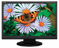 NEC AccuSync LCD194WMX-BK Widescreen Flat Panel Monitor