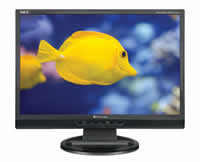 NEC AccuSync LCD19WMGX Flat Panel Monitor
