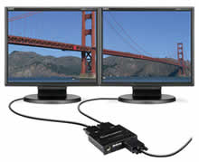NEC MultiSync LCD195VX+BK-DA Desktop Display
