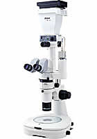 Nikon SMZ1000 Stereoscopic Zoom Microscope with Trinocular Eyepiece Tube and Diascopic Stand