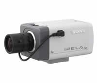 Sony SNCCS11 Mount JPEG/MPEG4 Camera