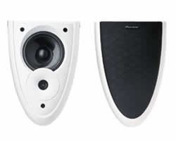 Pioneer S-DS1-Z Direct/Diffuse Surround Speaker