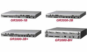 Hitachi GR2000-B Series Gigabit Router