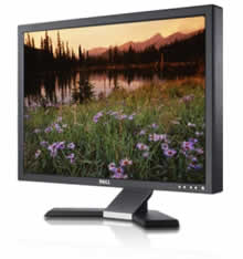 Dell E248WFP Widescreen Flat Panel LCD Monitor
