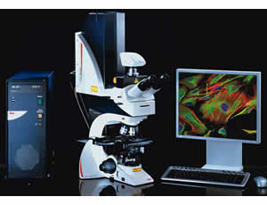 Leica TCS SPE Spectral Confocal