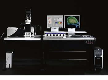 Leica TCS SP5 Spectral Confocal
