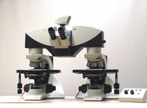 Leica FS CB Comparison Microscope