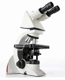 Leica DM1000 Microscope