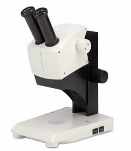 Leica BM E Compound Microscope