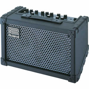 Roland Cube Street Battery Powered Stereo Amplifier
