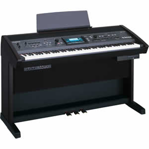 Roland RK-500 VIMA Recreational Keyboard